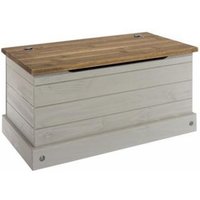 Product photograph of Corona Grey Mexican Pine Storage Trunk from Choice Furniture Superstore