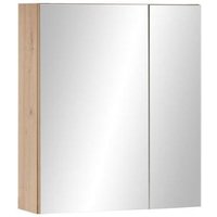 Product photograph of Austin Oak Ribbed 2 Door Mirrored Cabinet from Choice Furniture Superstore