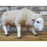 Product photograph of Sheep - 9672 Set Of 2 from Choice Furniture Superstore