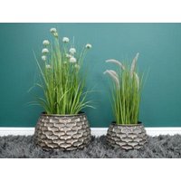 Product photograph of Planters - 8217 Set Of 2 from Choice Furniture Superstore