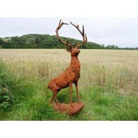 Product photograph of Rusty Stag Set Of 2 from Choice Furniture Superstore