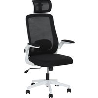 Product photograph of Homcom High-back Office Chair Mesh Executive Chair With Flip-up Arms Rotating Headrest Lumbar Support Black Aosom Uk from Aosom UK
