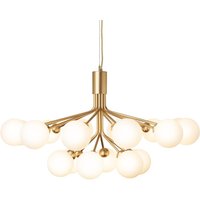 Product photograph of Apiales 18 Opal from Archiproducts UK