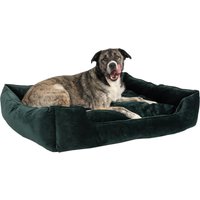 Cama Modern Living Fern para perros - 108 x 95 x 24 cm (L x An x Al)
Cama Modern Living Fern para perros - 108 x 95 x 24 cm (L x An x Al)