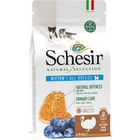 Schesir Natural Selection Kitten con pavo pienso para gatos - Pack % - 3 x 1,4 kg
Schesir Natural Selection Kitten con pavo pienso para gatos - Pack % - 3 x 1,4 kg