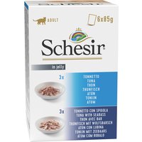 Schesir bolsitas 6 x 85 g en gelatina - Pack mixto de atún
Schesir bolsitas 6 x 85 g en gelatina - Pack mixto de atún
