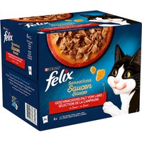 Felix Sensations 48 x 85 g - Pack Ahorro - Carne en salsa: pavo, vacuno, cordero y pato
Felix Sensations 48 x 85 g - Pack Ahorro - Carne en salsa: pavo, vacuno, cordero y pato