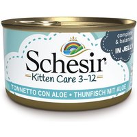 Pack Ahorro: Schesir Kitten 24 x 85 g - Atún con aloe vera
Pack Ahorro: Schesir Kitten 24 x 85 g - Atún con aloe vera