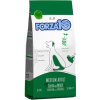 Forza10 Medium Maintenance con ciervo y patatas - 2 x 12,5 kg
Forza10 Medium Maintenance con ciervo y patatas - 2 x 12,5 kg