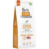Brit Care Hypoallergenic Junior Razas Grandes Cordero y Arroz - Pack % - 2 x 12 kg
Brit Care Hypoallergenic Junior Razas Grandes Cordero y Arroz - Pack % - 2 x 12 kg