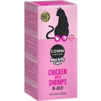 Cosma Mini Jelly Cups 24 x 25 g snack para gatos - Pack Ahorro - Pollo/Gambas
Cosma Mini Jelly Cups 24 x 25 g snack para gatos - Pack Ahorro - Pollo/Gambas