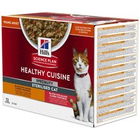 Hill's Adult Sterilised Healthy Cuisine con pollo y salmón para gatos - 12 x 80 g
Hill's Adult Sterilised Healthy Cuisine con pollo y salmón para gatos - 12 x 80 g