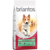 Briantos Adult con cordero y arroz - Pack % - 2 x 14 kg
Briantos Adult con cordero y arroz - Pack % - 2 x 14 kg