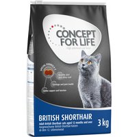 Concept for Life British Shorthair Adult - ¡Receta mejorada! - Pack % - 3 x 3 kg
Concept for Life British Shorthair Adult - ¡Receta mejorada! - Pack % - 3 x 3 kg
