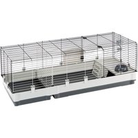 Jaula Plaza 140 para roedores - 142 x 60 x 50 cm (L x An x Al)
Jaula Plaza 140 para roedores - 142 x 60 x 50 cm (L x An x Al)