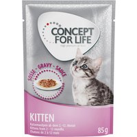 Concept for Life 48 x 85 g - Pack Ahorro - Kitten en salsa
Concept for Life 48 x 85 g - Pack Ahorro - Kitten en salsa