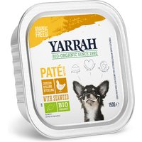 Yarrah Paté comida ecológica para perros 12 x 150 g - Pollo ecológico con algas marinas ecológicas
Yarrah Paté comida ecológica para perros 12 x 150 g - Pollo ecológico con algas marinas ecológicas