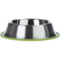 Comedero Silver Line con anillo verde - 700 ml, diámetro 23 cm
Comedero Silver Line con anillo verde - 700 ml, diámetro 23 cm