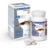 Cosequin Advanced condroprotector para perros - 40 comprimidos
Cosequin Advanced condroprotector para perros - 40 comprimidos