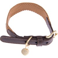 Collar Nomad Tales Bloom caramelo para perros - S: 36 - 40 cm de contorno de cuello, 25 mm de ancho
Collar Nomad Tales Bloom caramelo para perros - S: 36 - 40 cm de contorno de cuello, 25 mm de ancho