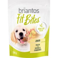 Briantos FitBites Junior snacks con ave, patatas y fresas para cachorros - 150 g
Briantos FitBites Junior snacks con ave, patatas y fresas para cachorros - 150 g