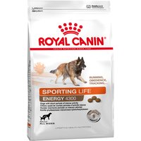 Royal Canin Sporting Life Energy Trail 4300 - Pack % - 2 x 15 kg 
Royal Canin Sporting Life Energy Trail 4300 - Pack % - 2 x 15 kg