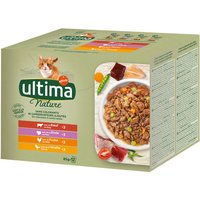Ultima Nature comida húmeda para gatos - 96 x 85 g - Selección de carnes (vacuno, pavo, pollo, aves de corral)
Ultima Nature comida húmeda para gatos - 96 x 85 g - Selección de carnes (vacuno, pavo, pollo, aves de corral)