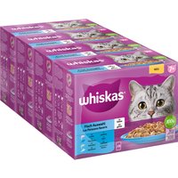 Whiskas Senior en bolsitas 144 x 85 g - Megapack Ahorro - Senior 7+ Selección de pescado en gelatina
Whiskas Senior en bolsitas 144 x 85 g - Megapack Ahorro - Senior 7+ Selección de pescado en gelatina