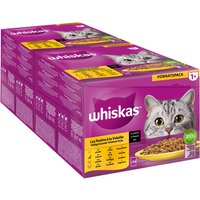Megapack Whiskas 1+ años 48 x 85 g en bolsitas - Selección de aves en salsa 
Megapack Whiskas 1+ años 48 x 85 g en bolsitas - Selección de aves en salsa