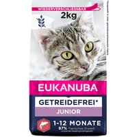 Eukanuba Kitten Grain Free Rico en Salmón - 2 kg
Eukanuba Kitten Grain Free Rico en Salmón - 2 kg