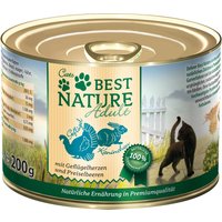 Best Nature Adult 12 x 200 g comida húmeda para gatos - Ave y conejo
Best Nature Adult 12 x 200 g comida húmeda para gatos - Ave y conejo