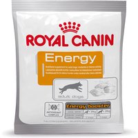 Snack para perros Royal Canin Energy - 12 x 50 g
Snack para perros Royal Canin Energy - 12 x 50 g