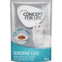 Concept for Life 48 x 85 g - Pack Ahorro - Sensitive Cats en salsa
Concept for Life 48 x 85 g - Pack Ahorro - Sensitive Cats en salsa