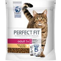 Perfect Fit Adult 1+ rico en pollo - 1,4 kg
Perfect Fit Adult 1+ rico en pollo - 1,4 kg