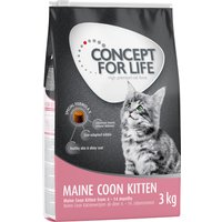 Concept for Life Maine Coon Kitten - 3 kg
Concept for Life Maine Coon Kitten - 3 kg