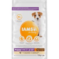 IAMS for Vitality Puppy & Junior Small Medium con pollo fresco - Pack % - 2 x 12 kg
IAMS for Vitality Puppy & Junior Small Medium con pollo fresco - Pack % - 2 x 12 kg