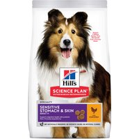 Hill's Adult 1+ Sensitive Stomach & Skin Medium Science Plan con pollo - Pack % - 2 x 14 kg
Hill's Adult 1+ Sensitive Stomach & Skin Medium Science Plan con pollo - Pack % - 2 x 14 kg