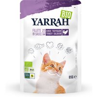 Yarrah Bio Filetes en salsa 14 x 85 g en bolsitas para gatos - Con pavo ecológico
Yarrah Bio Filetes en salsa 14 x 85 g en bolsitas para gatos - Con pavo ecológico