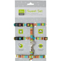 Set HUNTER: arnés + correa para gatos y cachorros - multicolor
Set HUNTER: arnés + correa para gatos y cachorros - multicolor