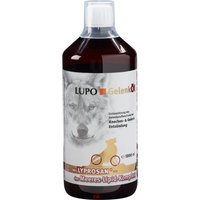 Lupo GelenkÖl aceite condroprotector para perros - 1000 ml
Lupo GelenkÖl aceite condroprotector para perros - 1000 ml