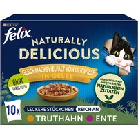Felix Naturally Delicious 10 x 80 g - Pack mixto - Selección de ave en gelatina
Felix Naturally Delicious 10 x 80 g - Pack mixto - Selección de ave en gelatina