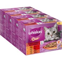 WHISKAS DUO Jumbopack 96 x 85 g en bolsitas - Combo clásico en gelatina
WHISKAS DUO Jumbopack 96 x 85 g en bolsitas - Combo clásico en gelatina