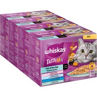 Jumbopack Whiskas Tasty Mix en bolsitas 96 x 85 g - Pescado del día en salsa
Jumbopack Whiskas Tasty Mix en bolsitas 96 x 85 g - Pescado del día en salsa