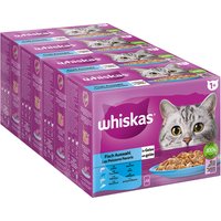Megapack Whiskas 1+ años 48 x 85 g en bolsitas - Selección de pescado en gelatina (48 x 85 g)
Megapack Whiskas 1+ años 48 x 85 g en bolsitas - Selección de pescado en gelatina (48 x 85 g)