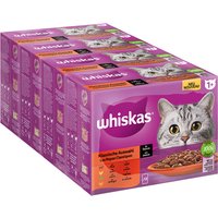 Megapack Whiskas 1+ años 48 x 85 g en bolsitas - Selección clásica en salsa (48 x 85 g)
Megapack Whiskas 1+ años 48 x 85 g en bolsitas - Selección clásica en salsa (48 x 85 g)