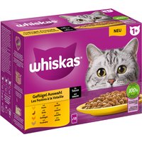 Whiskas 1+ años 12 x 85 g en bolsitas - Selección de aves en salsa (12 x 85 g)
Whiskas 1+ años 12 x 85 g en bolsitas - Selección de aves en salsa (12 x 85 g)