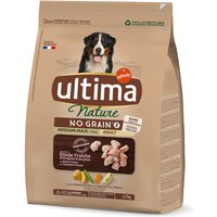 Ultima Nature No Grain Medium-Maxi con pavo - 8,1 kg (3 x 2,7 kg)
Ultima Nature No Grain Medium-Maxi con pavo - 8,1 kg (3 x 2,7 kg)