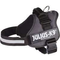 Arnés JULIUS-K9® Power antracita para perros - Talla 0
Arnés JULIUS-K9® Power antracita para perros - Talla 0