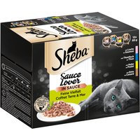 Sheba 96 x 85 g en tarrinas Multireceta - Megapack % - Sauce Lover
Sheba 96 x 85 g en tarrinas Multireceta - Megapack % - Sauce Lover