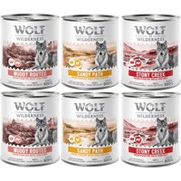 Wolf of Wilderness Expedition Senior 6 x 800 g - Pack mixto
Wolf of Wilderness Expedition Senior 6 x 800 g - Pack mixto